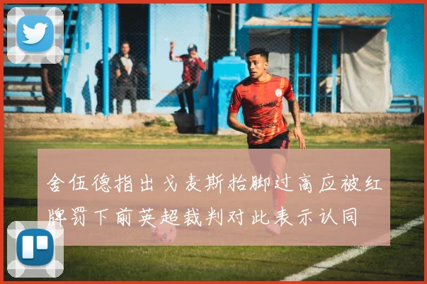 舍伍德指出戈麦斯抬脚过高应被红牌罚下前英超裁判对此表示认同
