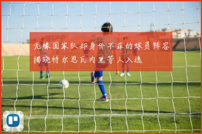 无缘国家队却身价不菲的球员阵容揭晓特尔恩瓦内里等人入选