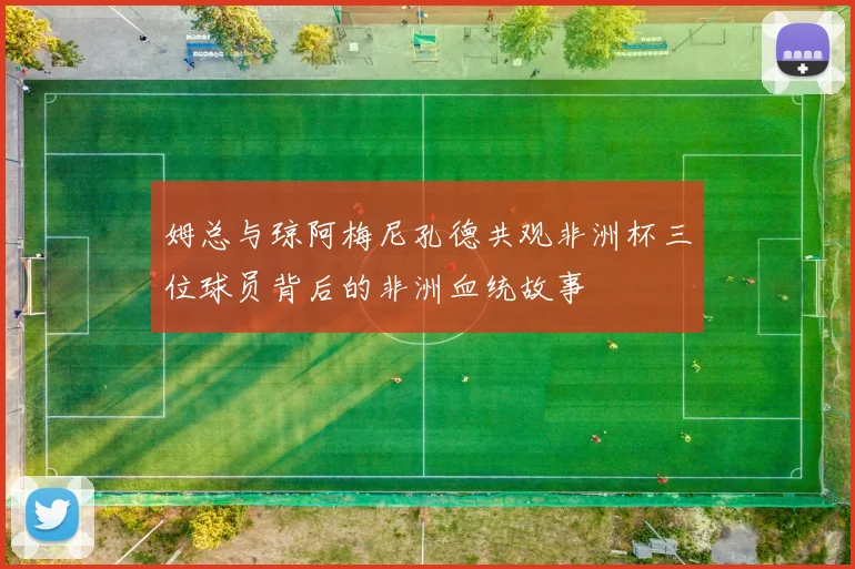 姆总与琼阿梅尼孔德共观非洲杯三位球员背后的非洲血统故事